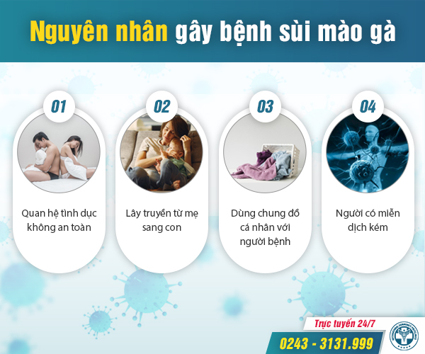 Sùi mào gà ở nam giới: Những điều cần biết để điều trị hiệu quả